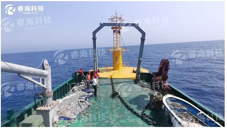 微信圖片_20250227134324 微信圖片_20250227134324